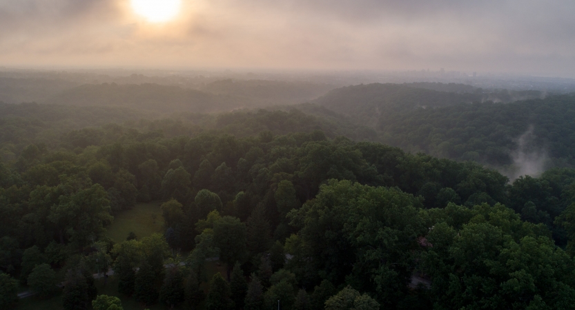 The sun is low in the misty sky above a densely wooded area